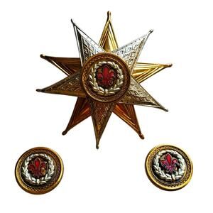 Star Brooch Pendant Clip Earrings Gold Silver Tone Red Enamel Pin Fleur de Lis
